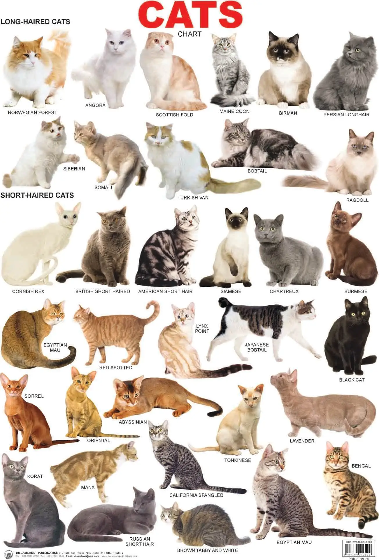 cats breeds