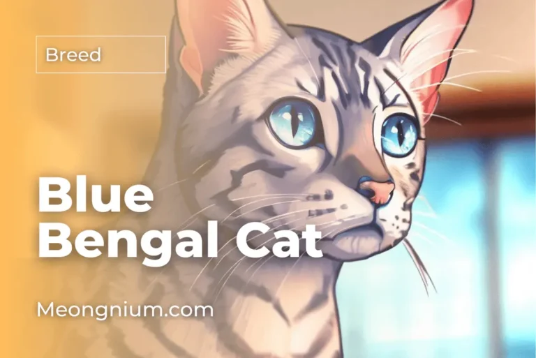 Blue Bengal Cat: 7 Unique Facts, History, & Care Tips (With Picture)