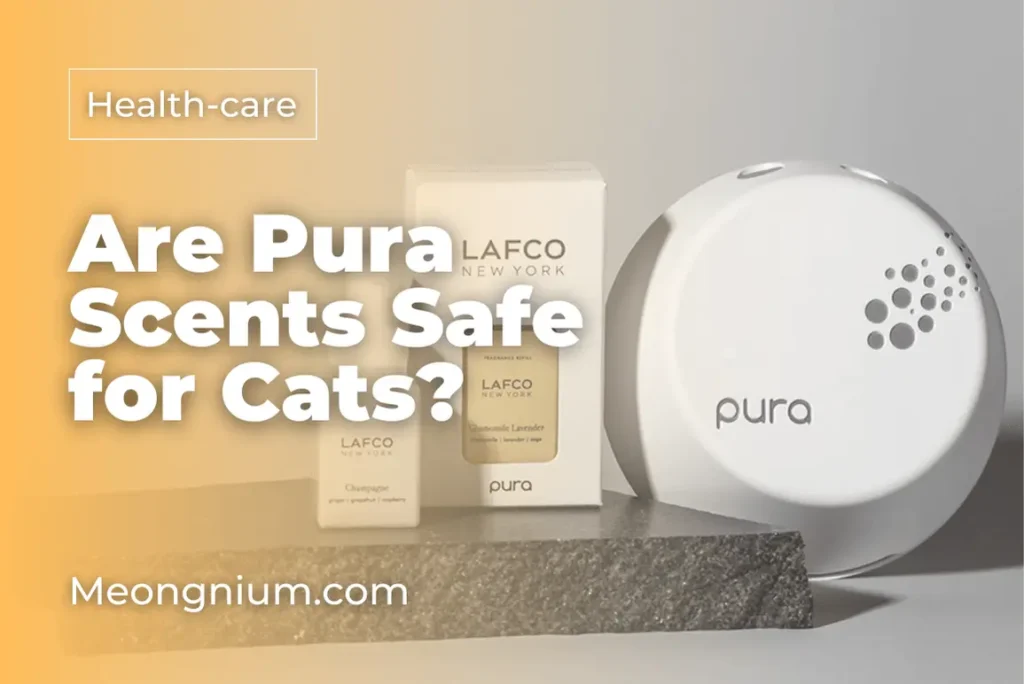 is pura diffuser safe for cats