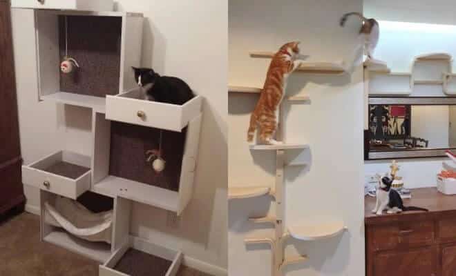 cat stretching on activity tree