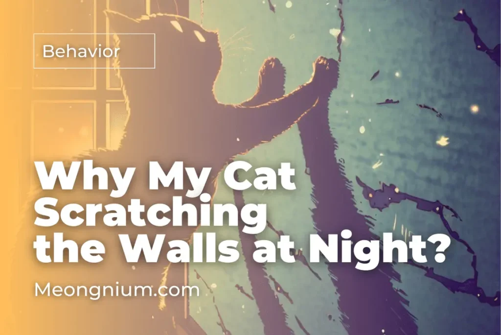 why is my cat scratching the walls at night